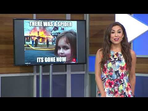 NFTs explained: What is a non-fungible token?