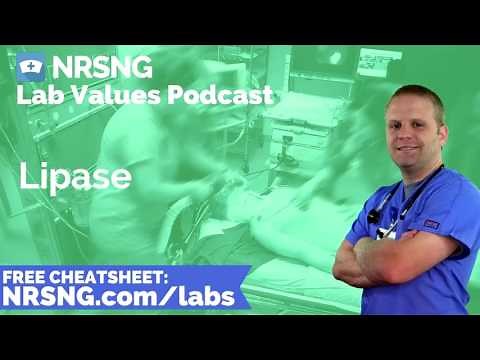 Lipase Nursing Considerations, Normal Range, Nursing Care, Lab Values Nursing