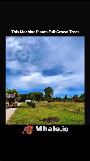 explain_eduverse_ on Instagram: "Loading steel coils is a task that requires careful attention to safety protocols. These coils are often massive and heavy, making them difficult to handle and maneuver. If not properly secured, they can roll or fall, causing serious injuries to workers. The weight and size of steel coils demand respect, and workers must be vigilant when handling them. . . To ensure a safe working environment, employers can provide specialized equipment and training to workers. F
