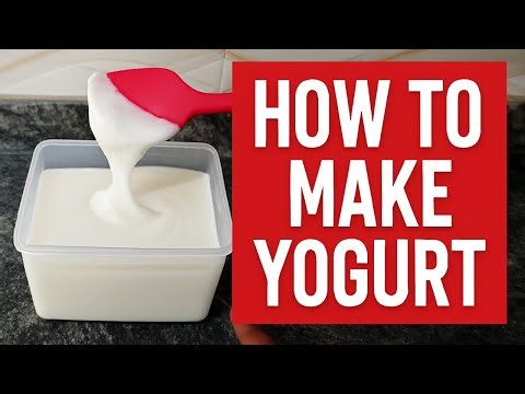 How to Make THICK & CREAMY Yogurt at Home | No Machine Needed!