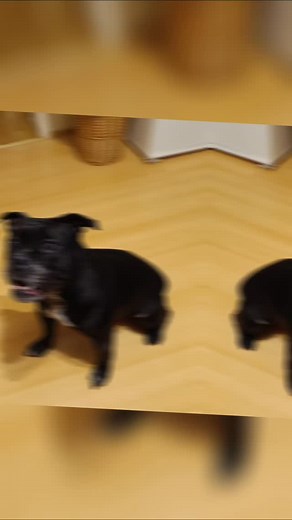 Sandro Sandro Simmen on Reels