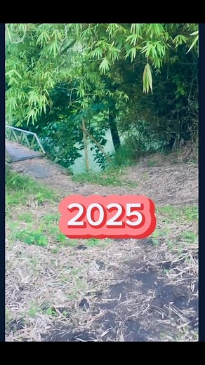 13 reactions | 2025 is a New Chapter of our journey. #positivemindset #strength #LifeChangingOpportunity #FUCOSYOURGOAL #selfloveisthebestlove #ofwlife #OFW @highlight | Nami Namie | Facebook