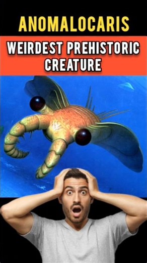Anomalocaris- Prehistoric Animal Ruled Before Dinosaurs #shorts #anomalocaris