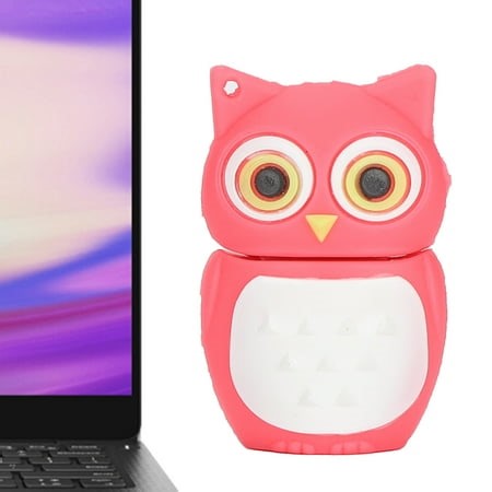 Cartoon U Disk Pink Owl Appearance High Speed Bulk Storage Flash Drive Memory Device - Walmart.ca