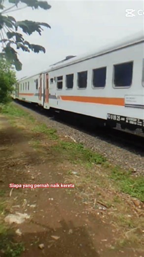 ikan Keke mailo ilo versi lokomotif Sumatra