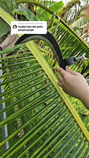 Bostar.Tool trên TikTok