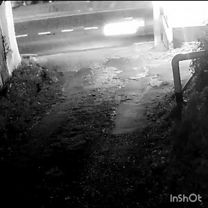 89K views · 498 reactions | Woman shot in her back in the altercation.... | Look The Brightstar Trinidad &Tobago | Facebook