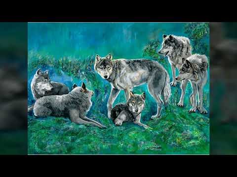 wolf pack ranks (5 levels in the hierarchy)