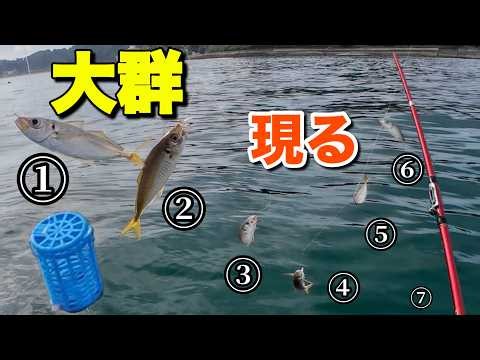 ⁠【小アジ大群】一瞬で爆釣！ジグサビキに切り替えたら大物きた❣️