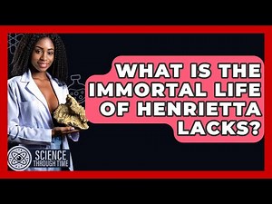 What Is The Immortal Life Of Henrietta Lacks? - Science Through Time