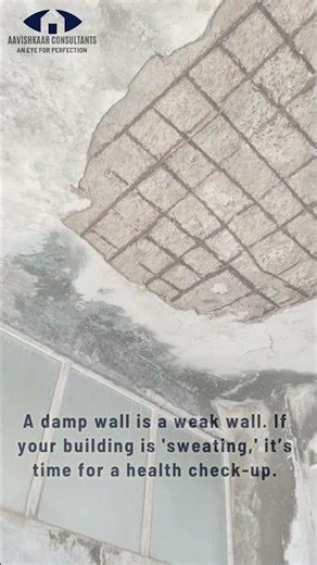 Is Your Damp Wall Structurally Safe? | Signs of Concrete Spalling & Corrosion