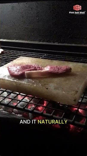 This Salt Block Cooks & Seasons Your Food 🧂