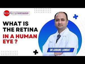What is the Retina in the Human Eye? | Structure, Function & Importance Explained