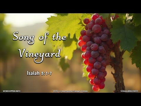Song of the Vineyard | Isaiah 5:1-7 | ISV | International Standard Version | 4K | UK English
