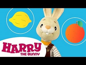 Learning Colors with Harry! | Color Fruits and Vegetables | Colors for Kids on Harry the Bunny
