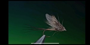 Fly Tying a Muddler Mayfly with Barry Ord Clarke