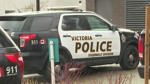 'Don't want to be the fun police': Bachelor party prank results in multiple 911 calls: VicPD