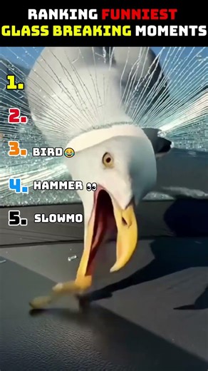 Ranking Funniest Glass Breaking Moments!