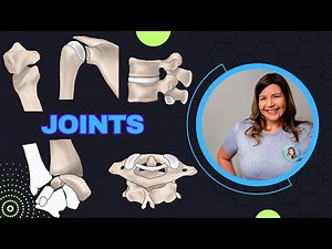 How Bones Move: Joints of the Body