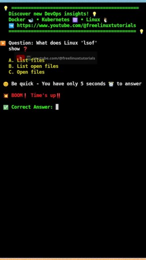 🐧Linux lsof command