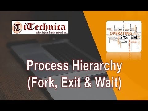 2. Process Hierarchy: Fork, Exit & Wait System Calls