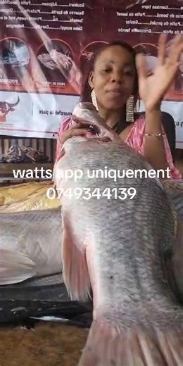 7.6K views · 83 reactions | #capitaine d eau douce 4000f kg #calamars #gambas #rognon #foie #gesier #poulet #Aile #dinde #capitaine #brochet #langouste watts app 49 34 41 39 | poissonnerie et boucherie fanaista 1 | Facebook