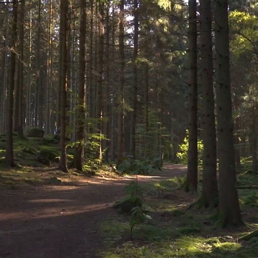 Your daily dose of hypnotherapy 🧘🏻‍♀️🍃 Take a deep breath and just relax.... #bodymindtransformation #positivechangesahead #hypnosis #hypnotherapyforweightloss #hypnotherapyexpert #calm #relaxation #metime #unwind #hypnotherapist #meditation | Hypnozio: power of hypnotherapy