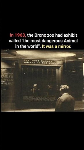 The Bronx Zoo exhibit in 1963.