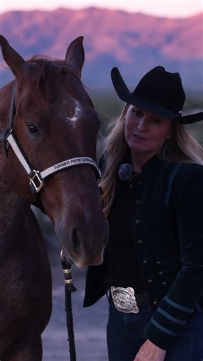 Meet Phoenix. The kind you do not replace. You just hope you are worthy of. Champion minded, quiet natured, and genuinely happy to be your partner, Phoenix is the definition of confidence in horse form. He babysits when needed, steps up when asked, and somehow makes every rider feel like they belong in the saddle. Honest for a three, competitive for the big numbers, and forgiving enough to hand to your family without a second thought. He has done the hard things and the fun ones. Semi finalist a