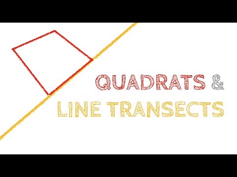 Ideas for using a LINE TRANSECT and QUADRATS