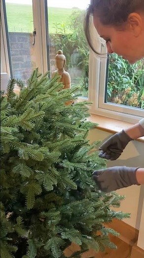 How to Fluff Your Christmas Tree