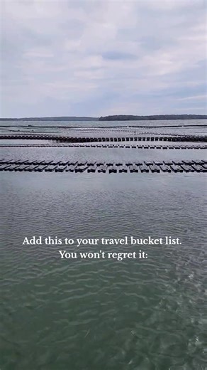 You'll never feel the same way about oysters after you visit an oyster farm. 📍 Butterfield Oyster Co in Yarmouth, Maine #oysters #oysterlover #Aquaculture #Maine #bucketlist #foodtravel