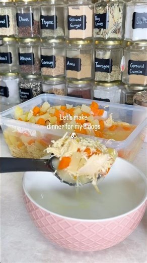 Chicken soup for the babies 🐶 #homemadedogfood #recetafacil #recipe