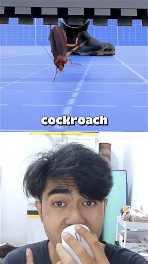 Dont Vacum Cockroaches #facts #animals #science