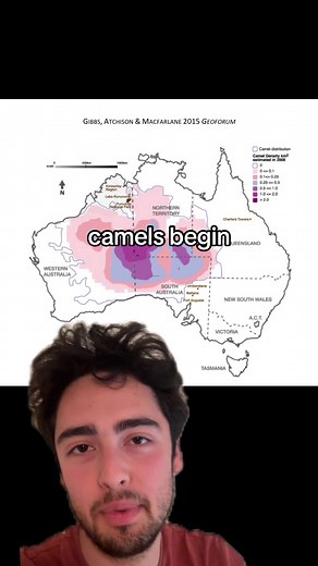 distant elephant on TikTok