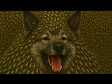 "Keeshond Dog Covered in Millions of Colorful Barnacles Rescued by Heroic Team"