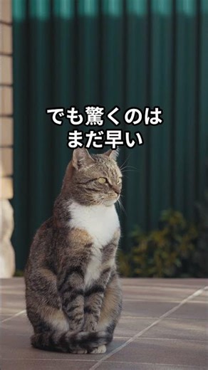 [Shocking] Planck time proves the discreteness of the universe | Physicist explains why there is ...