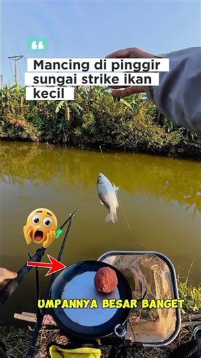 Very effective fishing bait for river fish #fishing