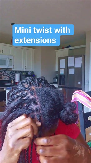 how i install my mini twist.