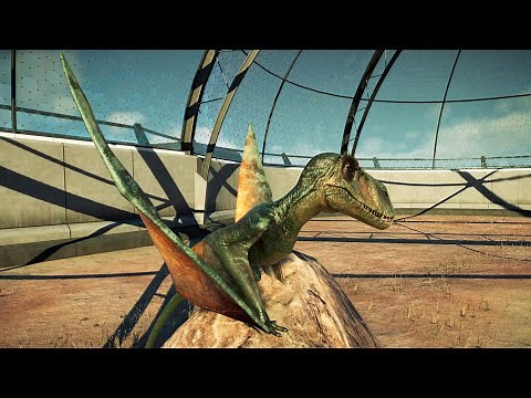 Jurassic World Evolution 2 - Dimorphodon Gameplay (PS5 UHD) [4K60FPS]
