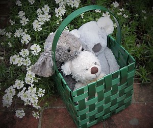 Fantastic Plastic Basket - Woven With Polyester Straps