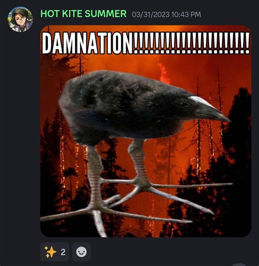 Original "DAMN!" Pūkeko Meme by IG user @liliumbirder