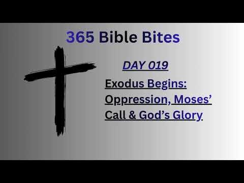 Day 019: Exodus Begins – Oppression, Moses’ Call & God’s Glory