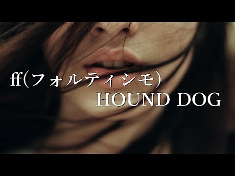 【ff (フォルティシモ)】HOUND DOG