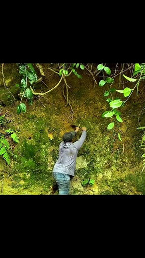 #building #bushcraft #camp #outdoors #shelter #survival #myfreelife8