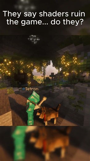 Do shaders REALLY ruin the game? #minecraftshaders