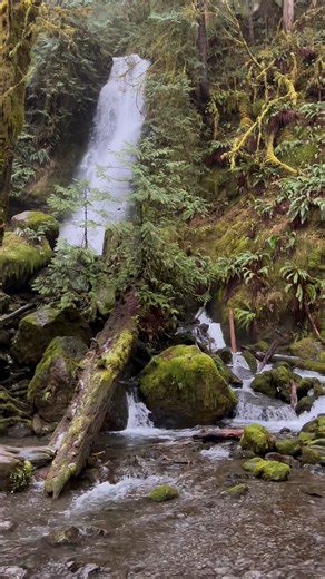 Did you know you can go from Seabrook's rejuvenating ocean air to the year-round mossy magic of the rainforest in less than 45 minutes? Start off with a cozy morning in Seabrook, then head out for a dreamy day trip into the Quinault Rainforest where waterfall views, quiet lakeside moments, and trails surrounded by towering old-growth forests feel truly whimsical. If you're up for even more awe-inspiring views, the world-famous Ruby Beach is less than an hour from the Quinault Rainforest and a li