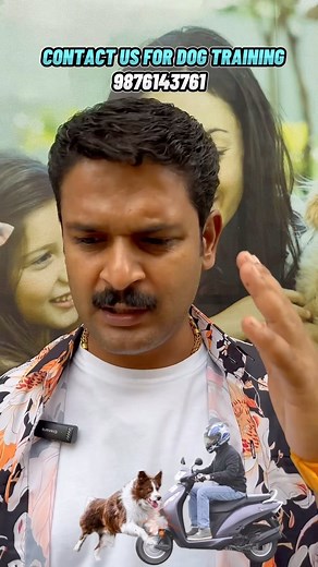 4.7K views · 48 reactions | Dog trainer or Dog behavior expert on Reels | Facebook