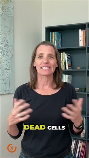 Unlock Your Immune System's Power - The Lymphatic System Explained