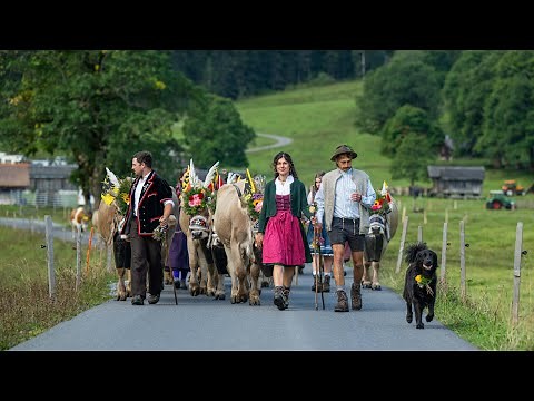 Alpabzug - Alpine descent Swiss Alps - Cows - Swiss tradition